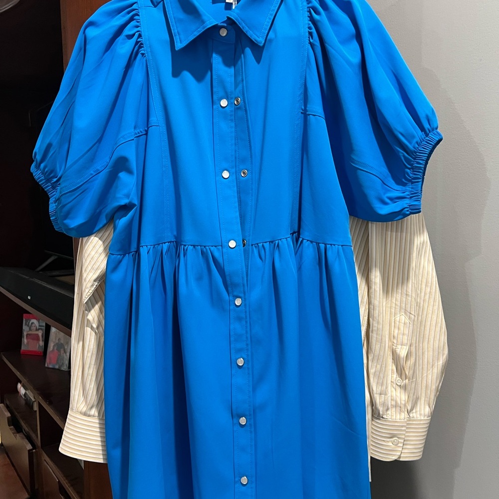 Bright Blue Entro Puff Sleeve Button-Front Dress